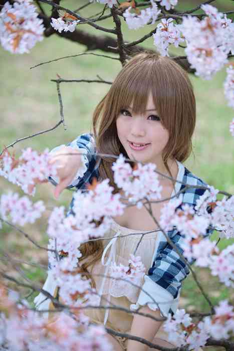 [Cosplay]ID0277 2013.04.27 Kipi Cosplayer part5 [1116P135M] Sakura.rar