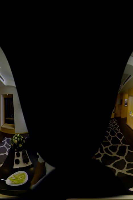 [VR全景写真视频]ID0010 VR全景视频：我的VR女友迪丽热巴 [MP4-497M]--性感提示：娇妻高挑时尚桃瓣唇令人冲动浴室挑逗